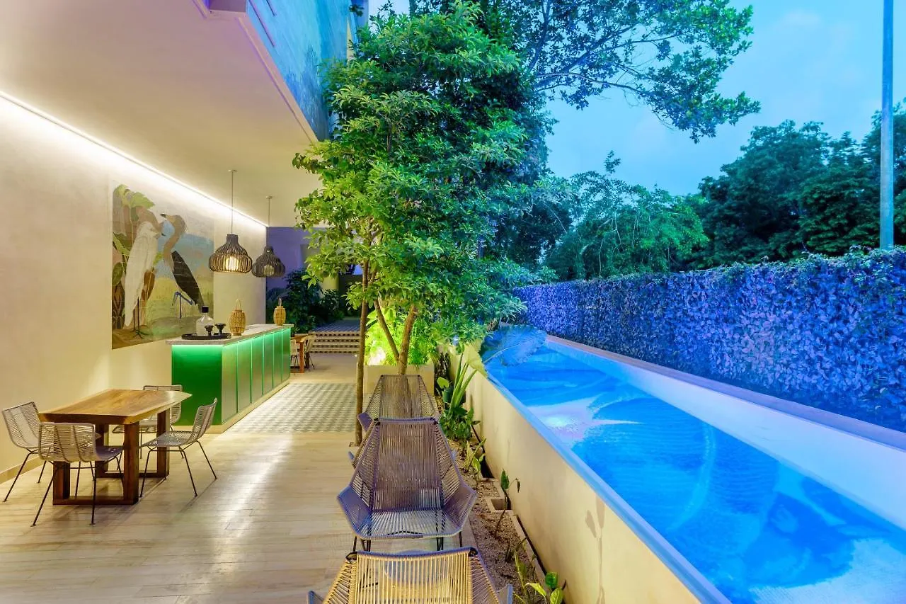 201 Beautiful Apartment With Private Pool Tulum Meksyk